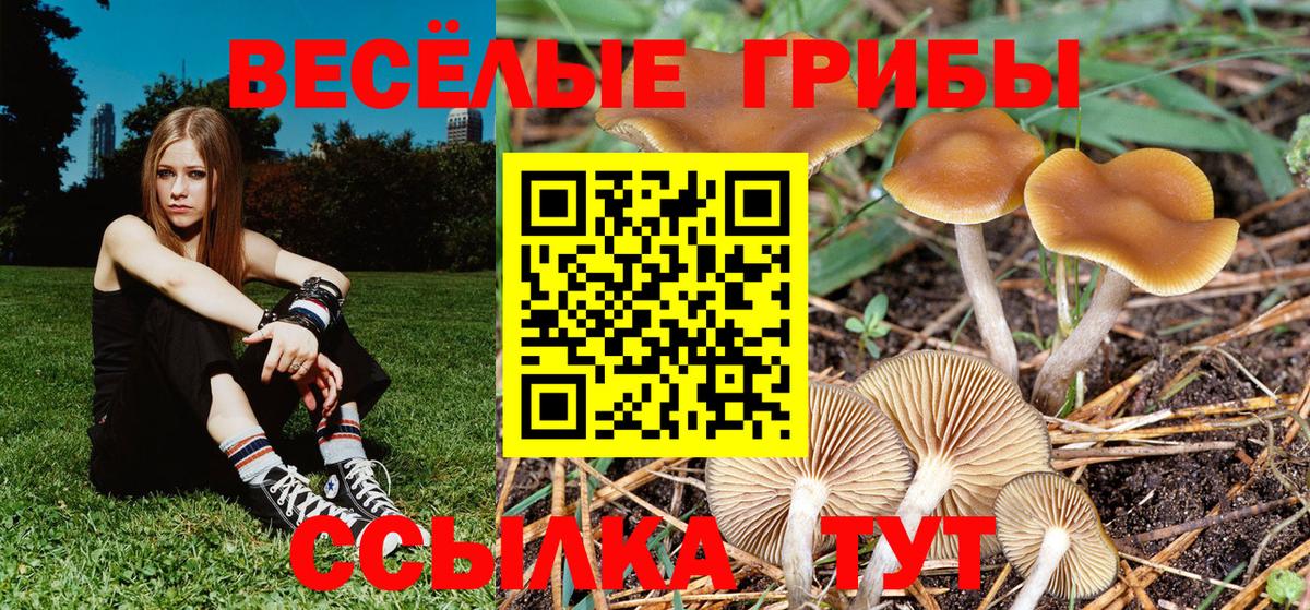 Галлюциногенные грибы ЛСД  дарнет шоп  Междуреченск  Вход с VPN 
