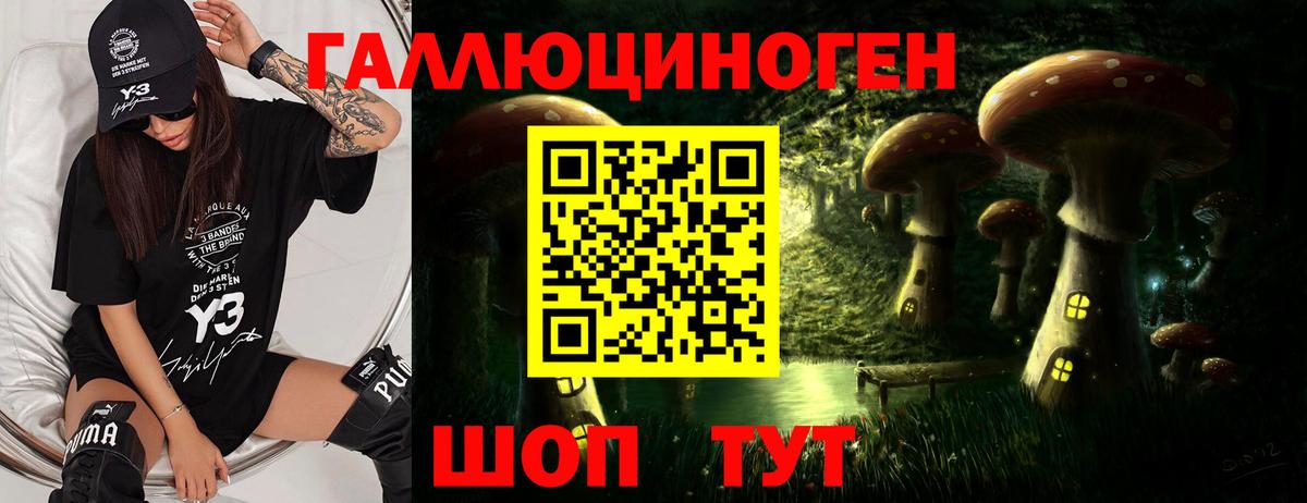 Псилоцибиновые грибы мицелий Междуреченск